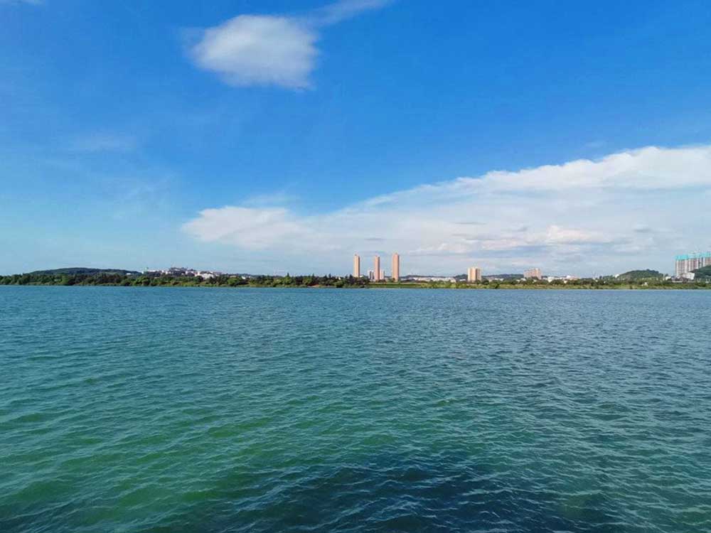 地表水检测