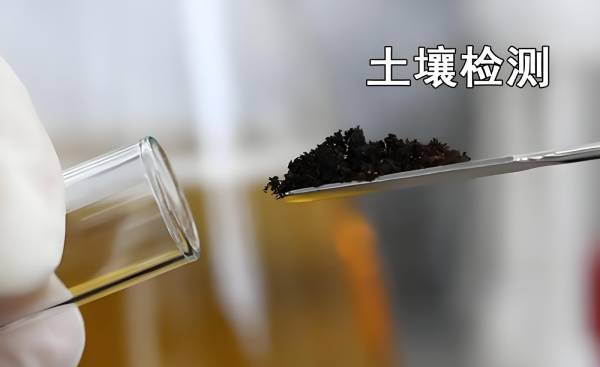 土壤检测：保障农业可持续性与环境健康的关键
