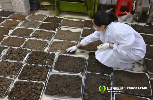 土壤检测：守护土地健康的